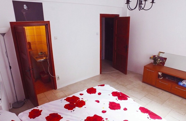 Lovely studio in the heart of City.University square, old town!