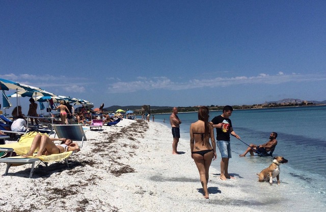 Lovely Villa with private swimming pool and parking (8+1 EX)in Stintino Sardinia