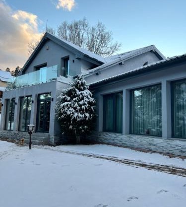 Luxurious Villa