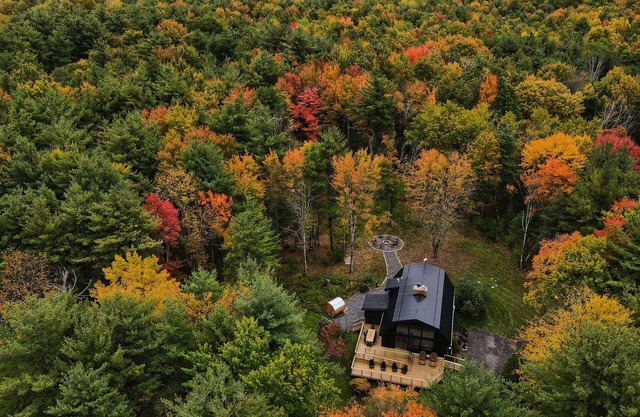 Luxury Forest Retreat: Outdoor Sauna & Plunge Tubs