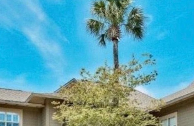 LUXURY HOME! 6 PASSENGER GOLF CART! Upgrades and increased sanitation.