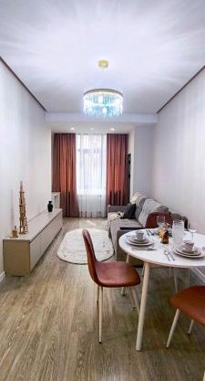 Luxury new apartment in the downtown