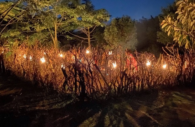 Mabamba Lodge