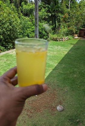 Madu's Mountain View Home