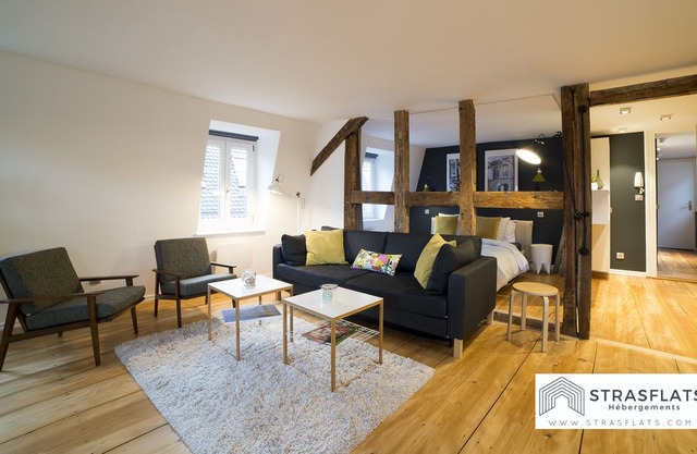 Magnificent architect designed apartment Hypercentre