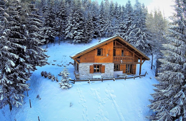 MAGNIFICENT CHALET * LA BUISSONNIERE, quiet, heart of resort, near the slopes