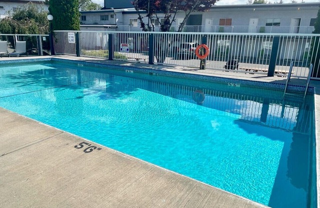 Main Beach Apartment with Outdoor Pool