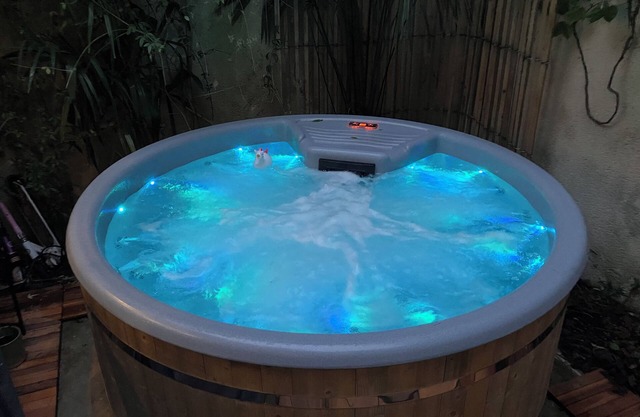 Maison Typiquement Bordelaise en Centre Ville Avec Jacuzzi