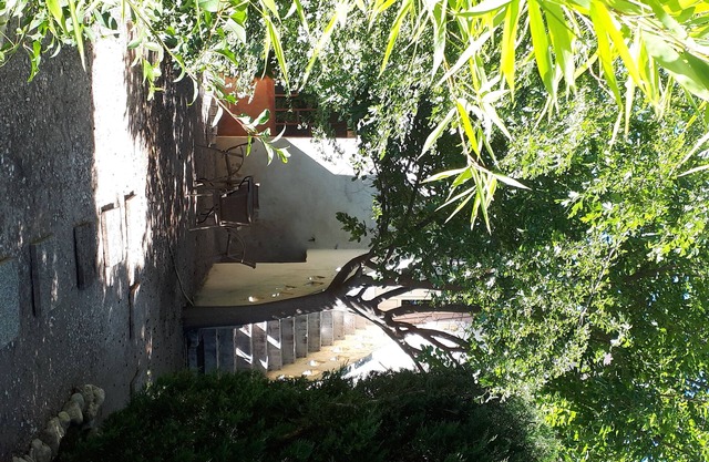 Maisonnette with garden in Provence