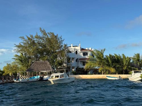 Mangrove Lounge Villa