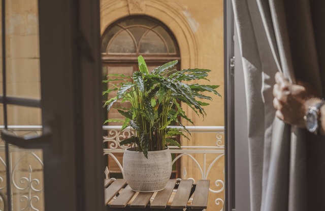 Maria Rosa Suites
