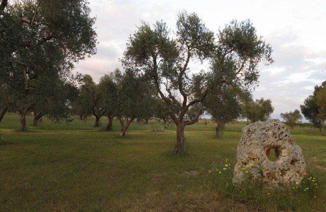 Masseria Mauriani 1623-La Torre-apartment in an old farmhouse