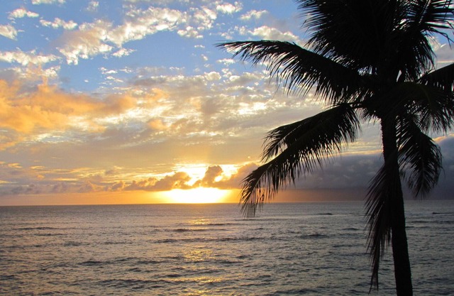 Maui is calling....it's a great time to take a trip!