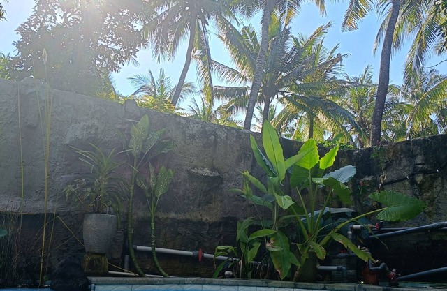 Mermaid Suite With AC 1 B&B - Bali Jungle Retreat with Fine Dining & Eco Pool