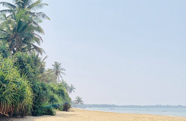 MICHS Beach Villa - Maggona