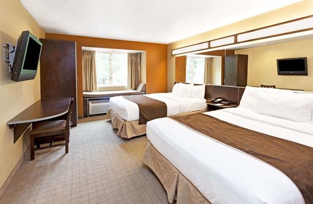 Microtel Inn & Suites by Wyndham Woodstock/Atlanta North