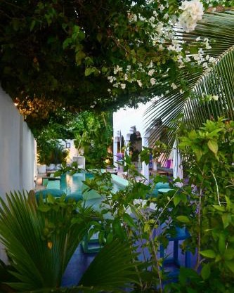 Minted Boutique Hotel