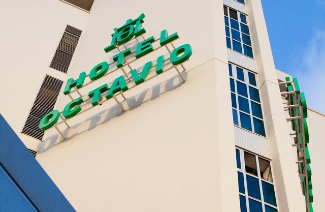 Mir Octavio