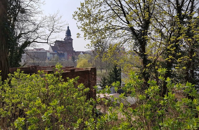 Modern 4 **** holiday home idyllic at the Tiefwarensee, 900 m to the old town