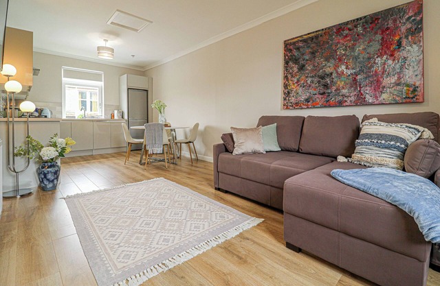 Modern And Cozy Apex Apartment