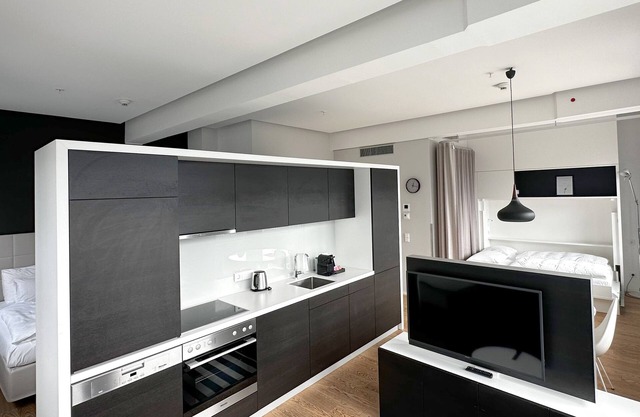 Modern apartment in Vienna