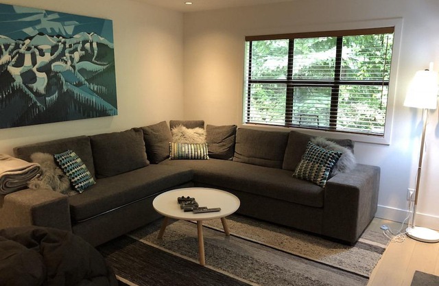Modern renovated townhouse with Private hot tub in The Woods