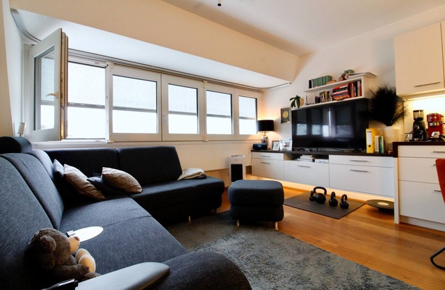 modern rooftop APT Vienna