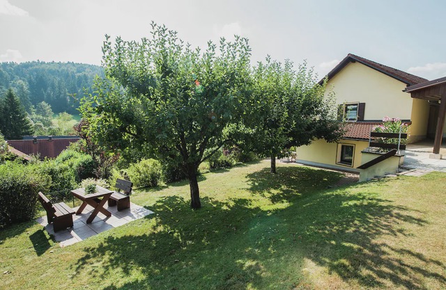 Modish Apartment in Plankenstein near Forest