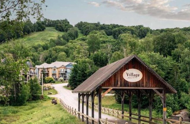 Mont-Blanc Ski In/Out: Direct Access, Fireplace & Nature