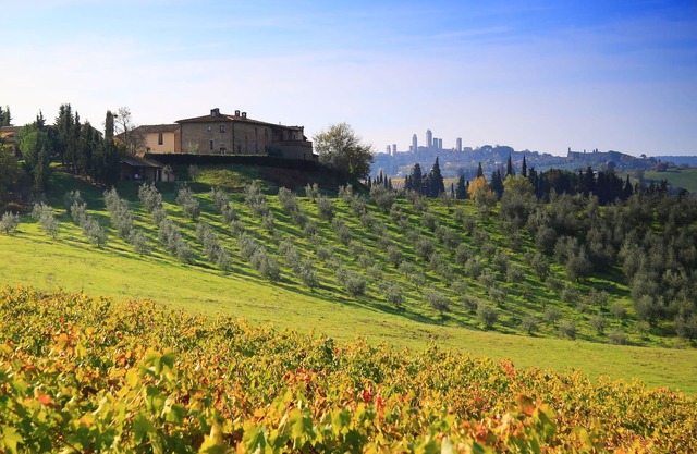 MONTEGONFOLI 2 Apartment in countryside of San Gimignano with amazing views 4+2