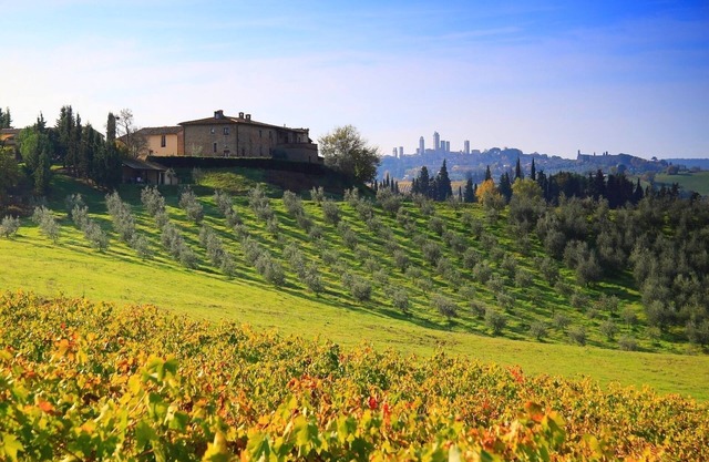 Hotel San Gimignano D 