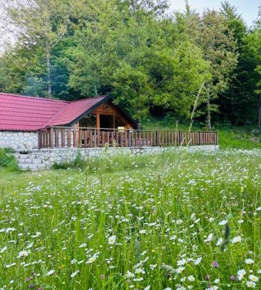 Montenegro Rustic House II