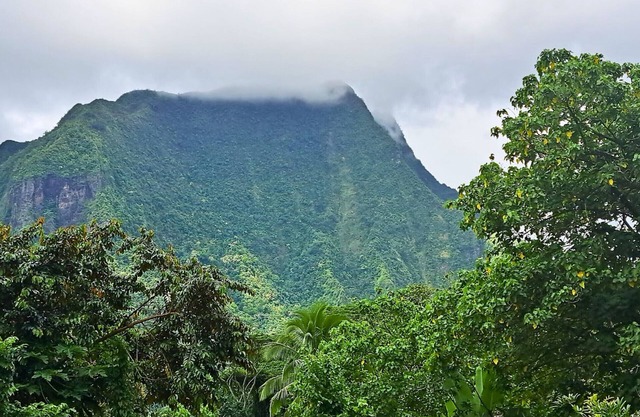MOOREA - Oceanie Lodge