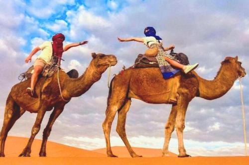 Moroccan Desert Camp