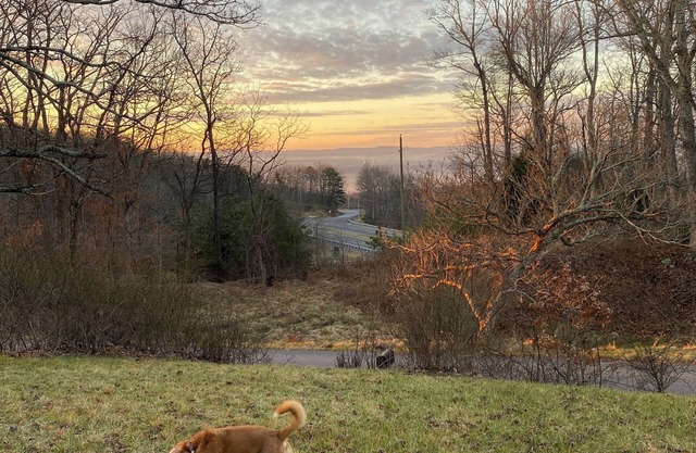 Mount Mission Getaway w/view of VT Campus