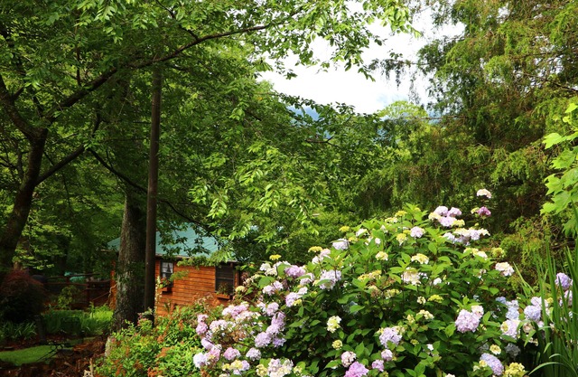Mountain Getaway For Couples! 17 miles to Asheville, Pet Friendly, Hot Tub