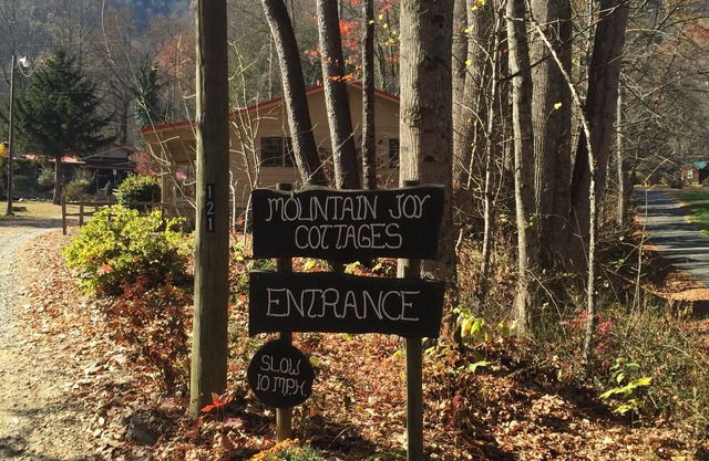 MOUNTAIN JOY COTTAGE #8 - LITTLE BEAR