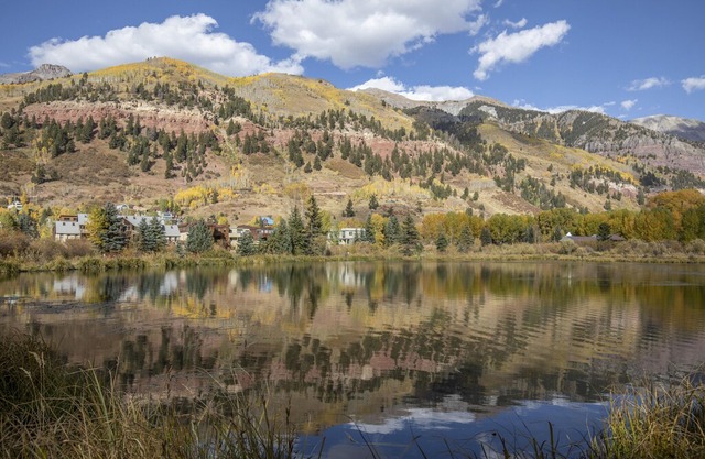 Muscatel Flats Unit 1 in Telluride