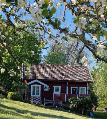 Mysigt boende nära hav och natur