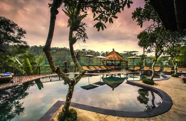 Nandini Jungle by Hanging Gardens