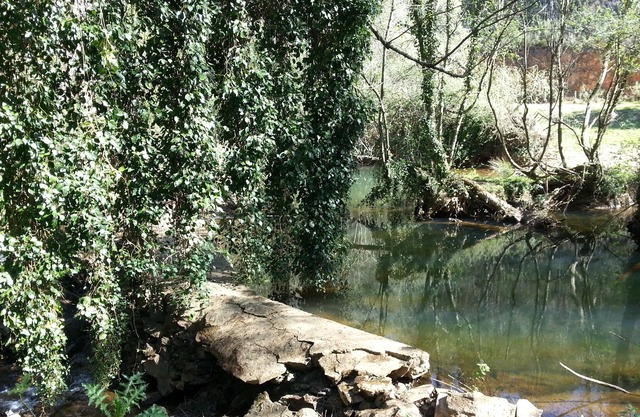 Natural house by the river, close to the beach