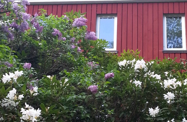 Natural idyll on the edge of the forest - family-friendly and quiet