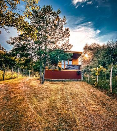 Nature&Chill Treehouses