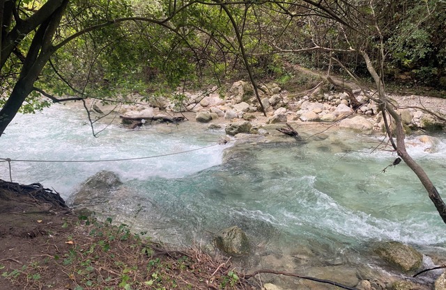 Nature lovers, the Terre d'Essènci, an oasis of biodiversity, welcomes you.