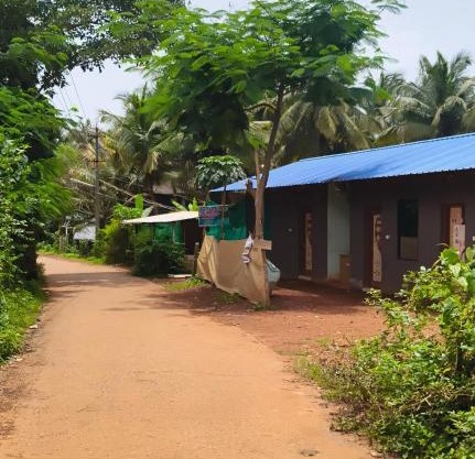 Nature Nest Rooms