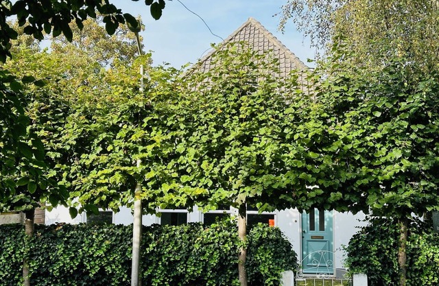 Neu: Charmantes Ferienhaus in Schönster Lage in Bergen