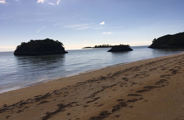 NEW LISTING SPECIAL RATES Charming 2 Bdrm 2 Bth Cottage Pink Sand Beach 100/Day