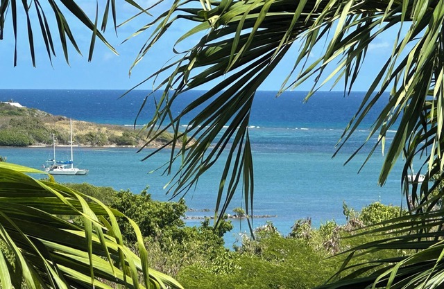 NEW LISTING! Large 4/4 Villa on St. Croix USVI with pool & view