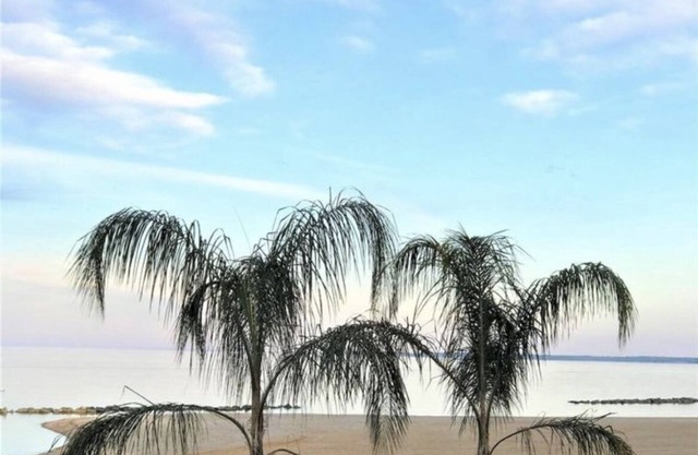 NEW Lovers' Lake View Oasis