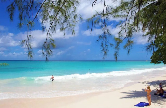 NEW! Tropical Haven in Oistinsnn